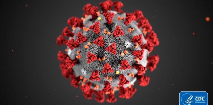 Koronawirus – jak zapobiegać wirusowi grypy. Jak zwiększyć odpowiedź immunologiczną.